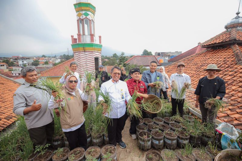 Panen Bawang Hingga Budidaya Jamur Wakaf Hijau Berbuah Manis, Dorong Ekonomi Jemaah di Cibiru 